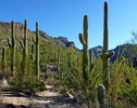 photo thumbnail #7