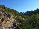 photo thumbnail #8