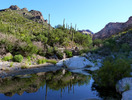 photo thumbnail #11