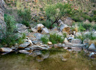 photo thumbnail #15