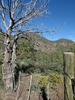 photo thumbnail #11