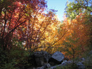 photo thumbnail #6