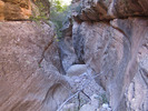 photo thumbnail #8