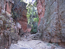 photo thumbnail #11