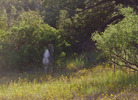 photo thumbnail #12