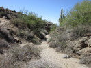 photo thumbnail #4