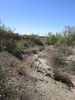 photo thumbnail #5