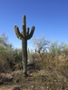 photo thumbnail #4