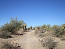 photo thumbnail #6