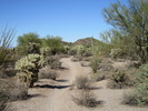 photo thumbnail #8