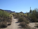 photo thumbnail #9