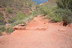 photo thumbnail #7