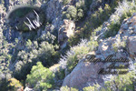 2011-10-14 :2: Sheep Mountain Peak 6996 - Mazatzal :: TheNaviG8R