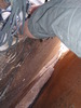 photo thumbnail #8