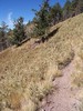 photo thumbnail #4