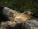 photo thumbnail #2