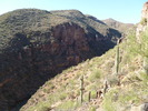 photo thumbnail #6