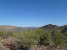 photo thumbnail #7