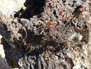photo thumbnail #13