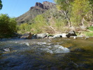 photo thumbnail #14