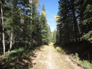 photo thumbnail #5