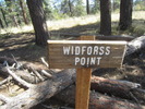 photo thumbnail #14