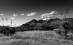 photo thumbnail #10