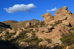 photo thumbnail #14