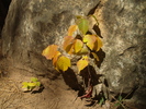 photo thumbnail #7