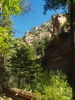 photo thumbnail #8