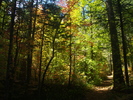 photo thumbnail #9
