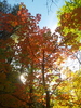 photo thumbnail #12