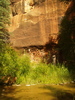 photo thumbnail #15