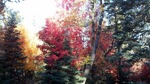 photo thumbnail #1