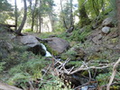 photo thumbnail #11