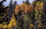 photo thumbnail #15