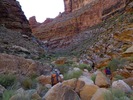 photo thumbnail #6
