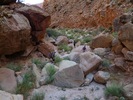 photo thumbnail #7