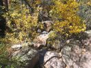photo thumbnail #6