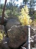 photo thumbnail #8