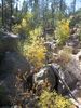 photo thumbnail #10