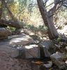 photo thumbnail #14