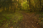 photo thumbnail #7