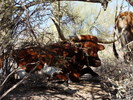 photo thumbnail #9