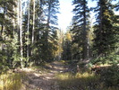 photo thumbnail #1