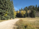 photo thumbnail #2
