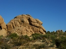 photo thumbnail #13