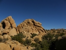 photo thumbnail #14