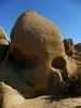 photo thumbnail #15