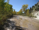 photo thumbnail #2